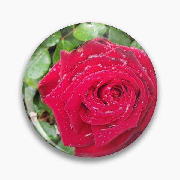 Item preview, Lincoln Roses designed and sold by edwardiangirl.