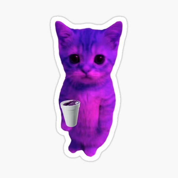 gato♡ El Gato Lean