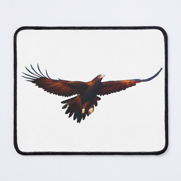 Item preview, Wedge-tailed Eagle with full wingspan, Beautiful Australian raptor illustration. Bird lovers gift designed and sold by PlumpPlumStudio.