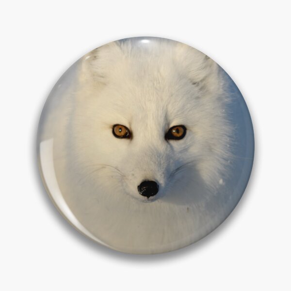 Item preview, Stunning Arctic Fox, Wild and Beautiful, Mesmerizing Eyes in a winter paradise designed and sold by Orianah.