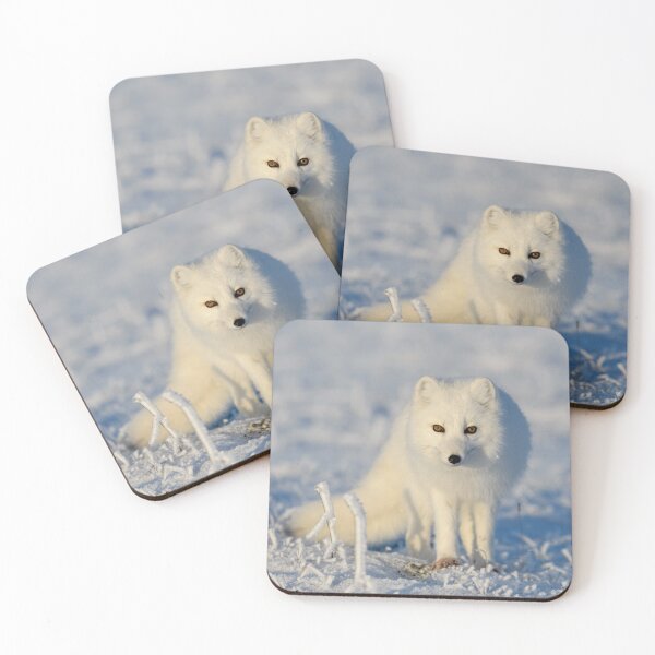 Item preview, Stunning Arctic Fox, Wild and Beautiful, Mesmerizing Eyes in a winter paradise designed and sold by Orianah.