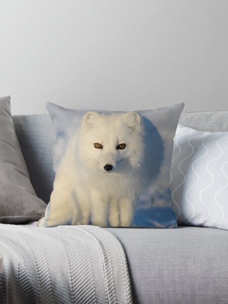 Artikel-Vorschau von Atemberaubender Polarfuchs, wild und schön, faszinierende Augen in einem Winterparadies, designt und verkauft von Orianah.