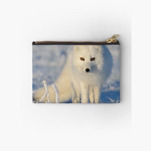 Item preview, Stunning Arctic Fox, Wild and Beautiful, Mesmerizing Eyes in a winter paradise designed and sold by Orianah.