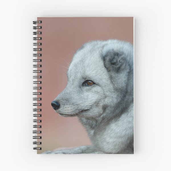 Item preview, Stunning Arctic Fox, Wild and Beautiful, Looking out into a winter paradise designed and sold by Orianah.