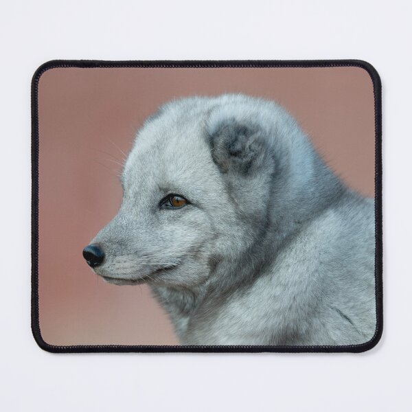 Item preview, Stunning Arctic Fox, Wild and Beautiful, Looking out into a winter paradise designed and sold by Orianah.