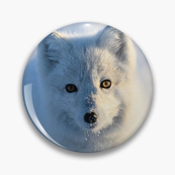 Item preview, Stunning Arctic Fox, Wild and Beautiful, Mesmerizing Eyes in a winter paradise designed and sold by Orianah.