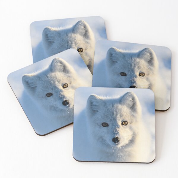 Item preview, Stunning Arctic Fox, Wild and Beautiful, Mesmerizing Eyes in a winter paradise designed and sold by Orianah.
