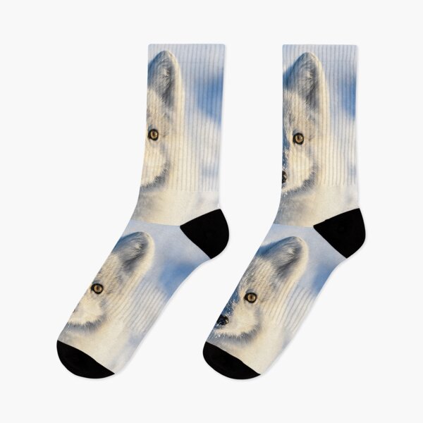 Item preview, Stunning Arctic Fox, Wild and Beautiful, Mesmerizing Eyes in a winter paradise designed and sold by Orianah.