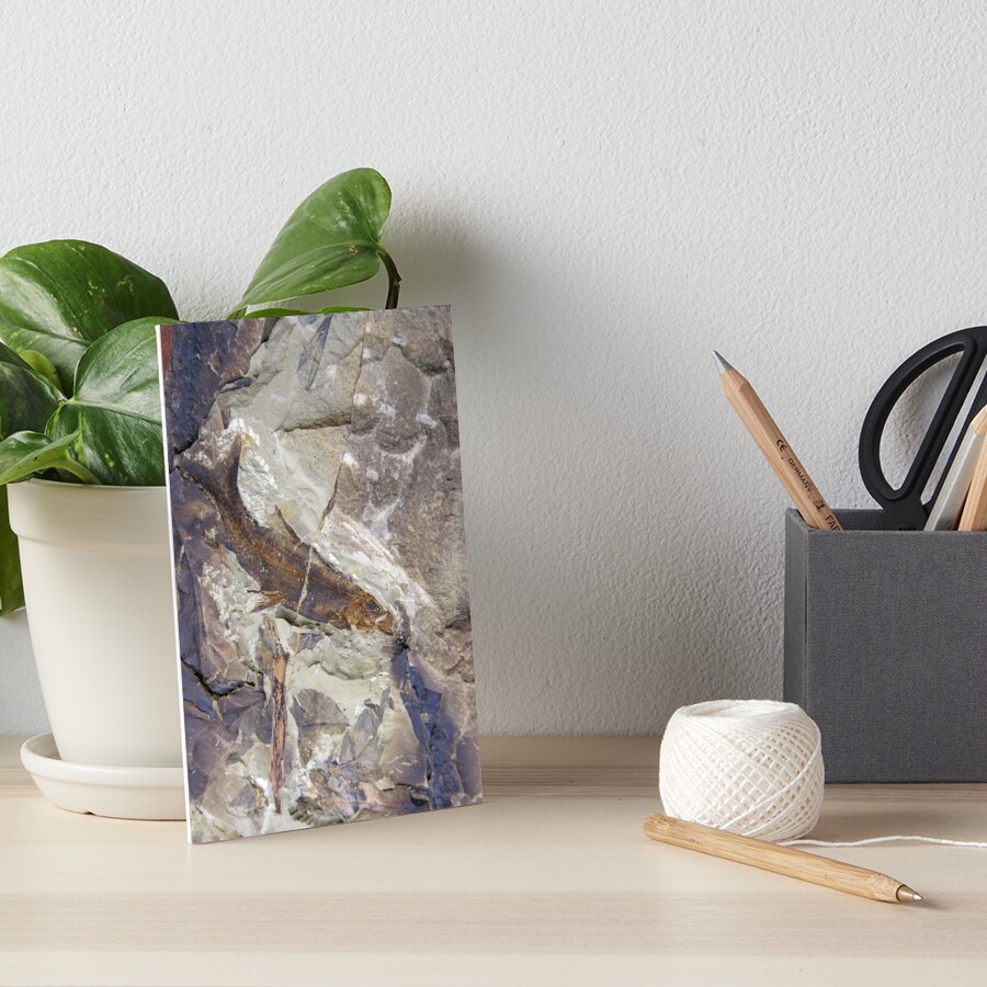 Item preview, Art Board Print designed and sold by AvrilThomasart.