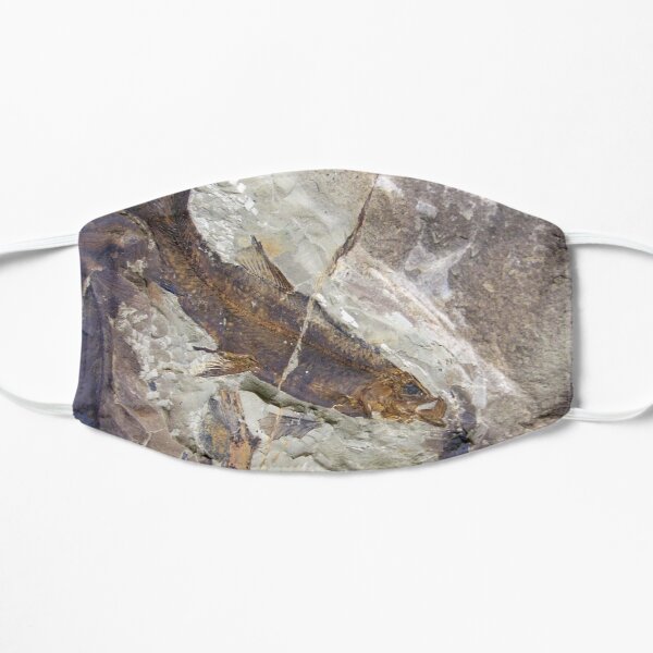 Fish Fossil - Photography by Avril Thomas - Adelaide / South Australia Artist Flat Mask