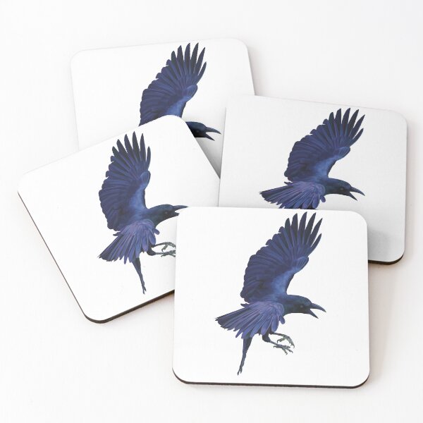 Artikelvorschau, Rabe im Flug. Schöne Schimmer von Blau, Purpur und Schwarz. Ein untertriebener Vogel. Geschenk für Vogelliebhaber entworfen und verkauft von PlumpPlumStudio.