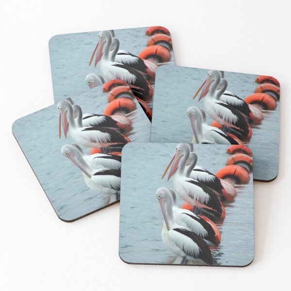 Item preview, Pelican - Photography by Avril Thomas - Adelaide / South Australia Artist designed and sold by AvrilThomasart.