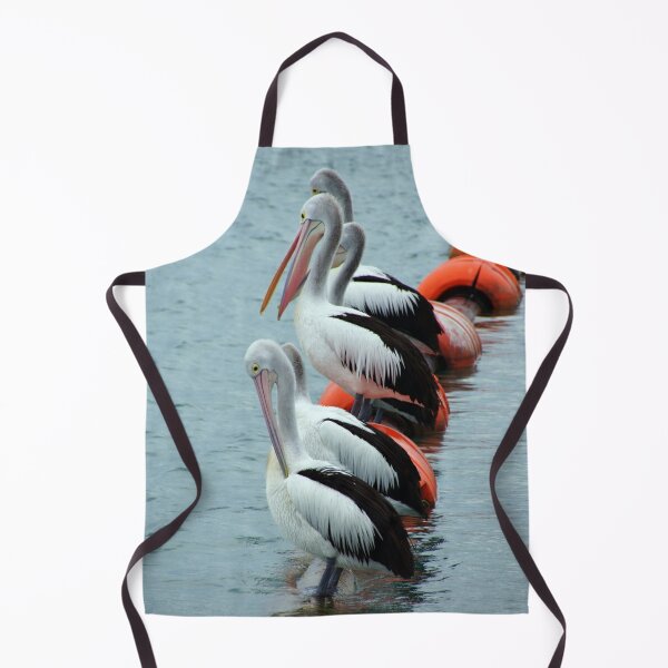 Pelican - Photography by Avril Thomas - Adelaide / South Australia Artist Apron