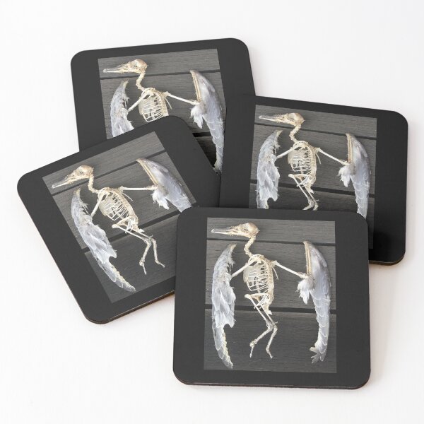 Item preview, Found bird Skeleton - Photography  by Avril Thomas - Adelaide / South Australia Artist designed and sold by AvrilThomasart.