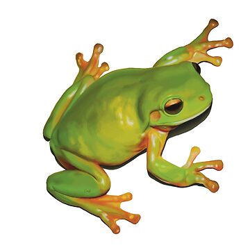 Gorgeous Green Tree Frog. Australian green frog. Cute frog