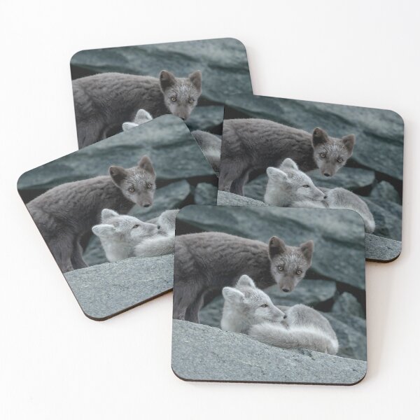 Item preview, Beautiful Arctic Foxes playing on the rocks in Autumn, Wild and Beautiful, Mesmerizing Eyes designed and sold by Orianah.