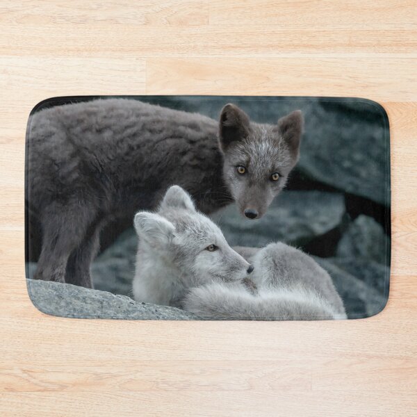Item preview, Beautiful Arctic Foxes playing on the rocks in Autumn, Wild and Beautiful, Mesmerizing Eyes designed and sold by Orianah.