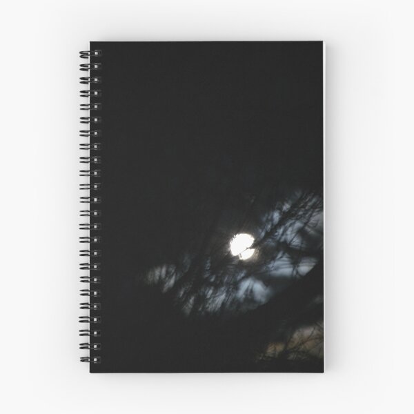 Aperçu de l'œuvre clair de lune créée et vendue par MoniKitz.