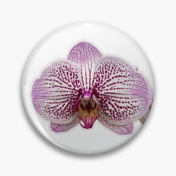 Artikelvorschau, Gefleckte Phalaenopsis entworfen und verkauft von LadyKandis.