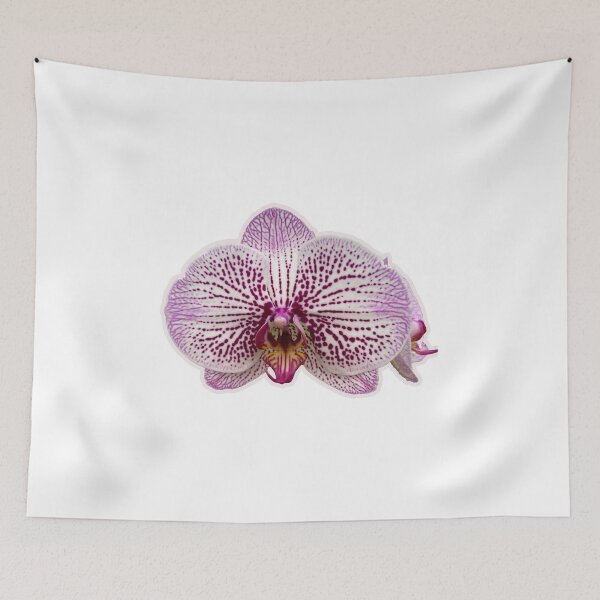 Item preview, Spotted Phalaenopsis designed and sold by LadyKandis.