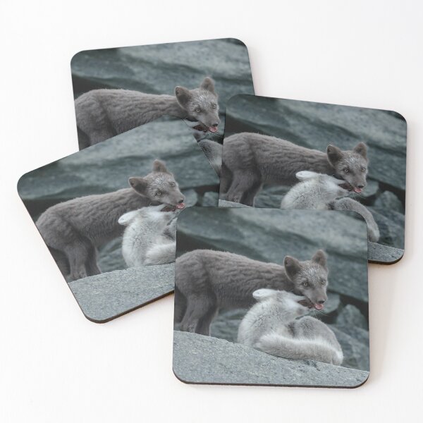 Item preview, Beautiful Arctic Foxes playing on the rocks in Autumn, Wild and Beautiful, Mesmerizing Eyes designed and sold by Orianah.