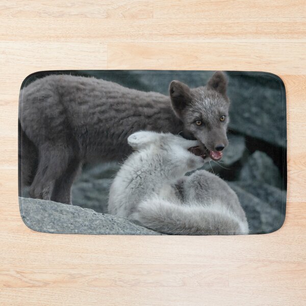 Item preview, Beautiful Arctic Foxes playing on the rocks in Autumn, Wild and Beautiful, Mesmerizing Eyes designed and sold by Orianah.