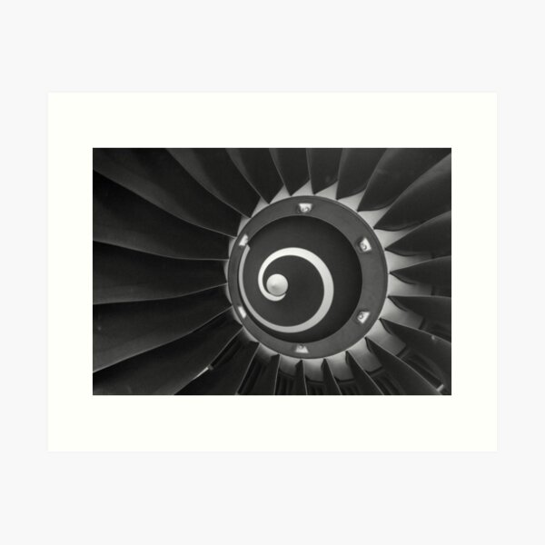 Fly Away1 (big print) Photography by Avril Thomas - Adelaide / South Australia Artist Art Print