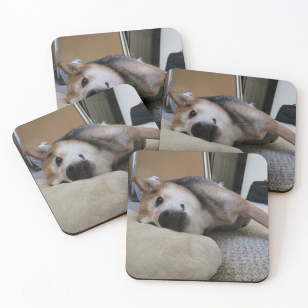 Item preview, Comfy Doggo designed and sold by Shib's Wares.