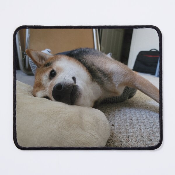 Item preview, Comfy Doggo designed and sold by Shib's Wares.