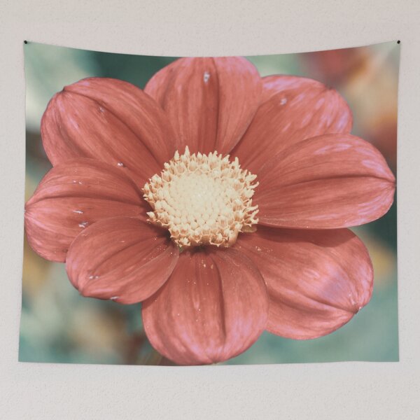 Artikelvorschau, Anemone in Monets Garten (Vintage) entworfen und verkauft von PayoLens.