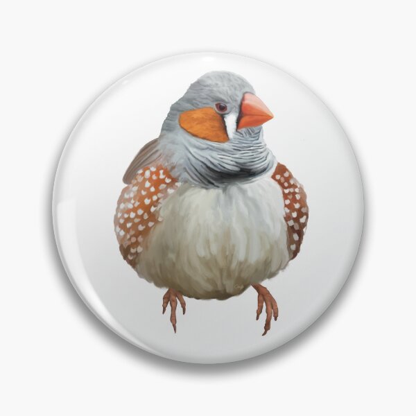 Item preview, Fat, fluffy Zebra Finch, absolutely gorgeous little Australian bird.  designed and sold by PlumpPlumStudio.