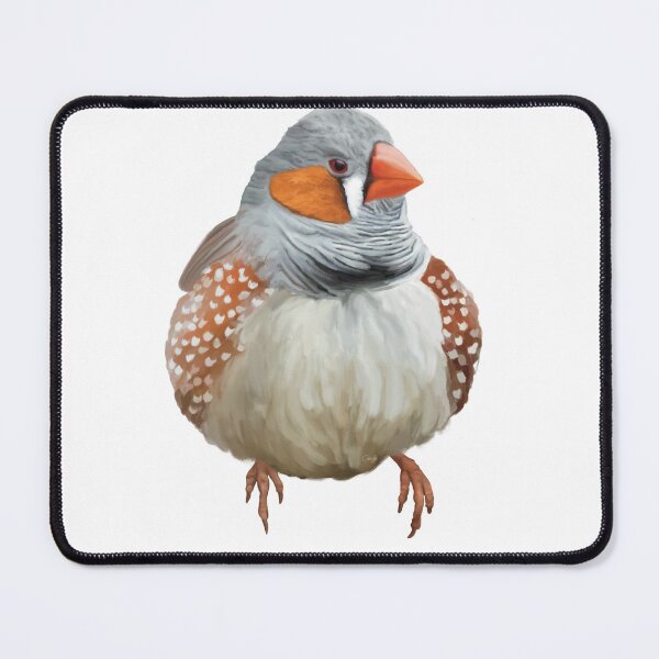 Item preview, Fat, fluffy Zebra Finch, absolutely gorgeous little Australian bird. designed and sold by PlumpPlumStudio.