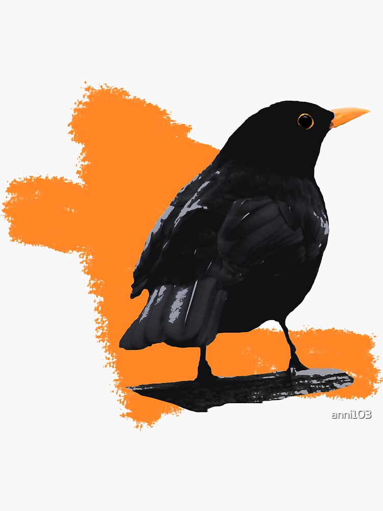 Blackbird fly by anni103