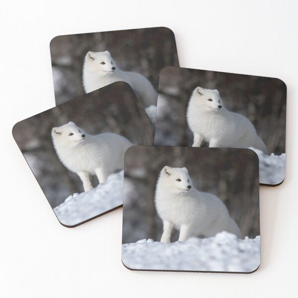Item preview, Stunning Arctic Fox, Wild and Beautiful, Mesmerizing Eyes in a winter paradise designed and sold by Orianah.