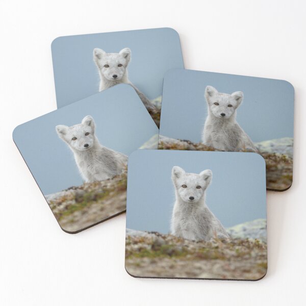 Item preview, Stunning Arctic Fox, Wild and Beautiful, Mesmerizing Eyes in a winter paradise designed and sold by Orianah.