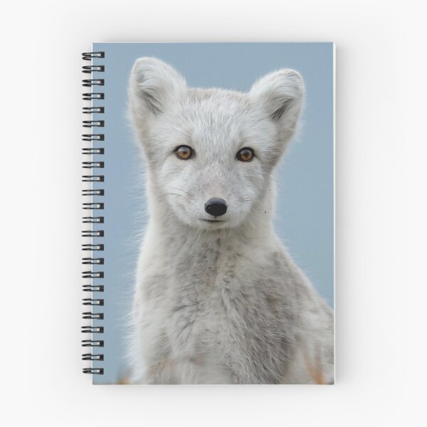 Item preview, Stunning Arctic Fox, Wild and Beautiful, Mesmerizing Eyes in a winter paradise designed and sold by Orianah.