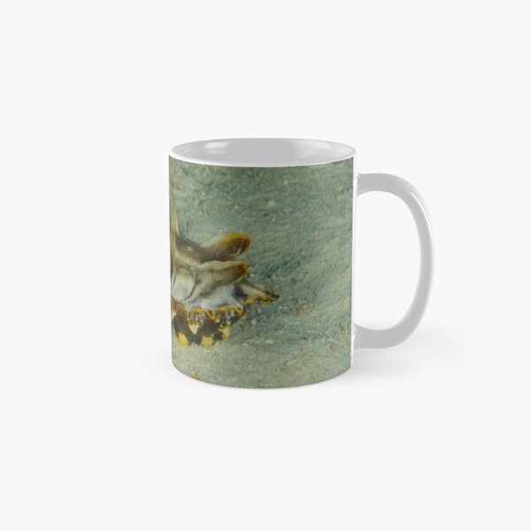 Flamboyant Cuttlefish - Metasepa pfefferi Classic Mug