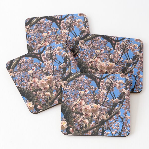 Item preview, Cherry Blossoms in Yeouido - South Korea Photographs designed and sold by YemmyZImages.