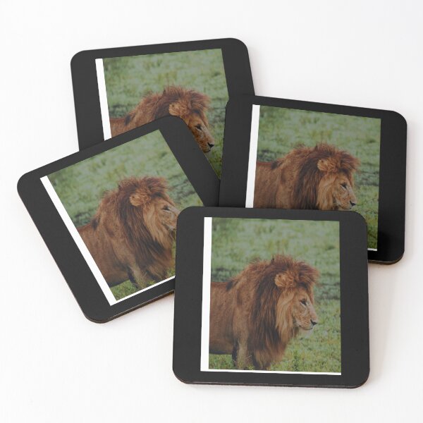 Item preview, Lion guards the guard designed and sold by TrongVinhBMW.