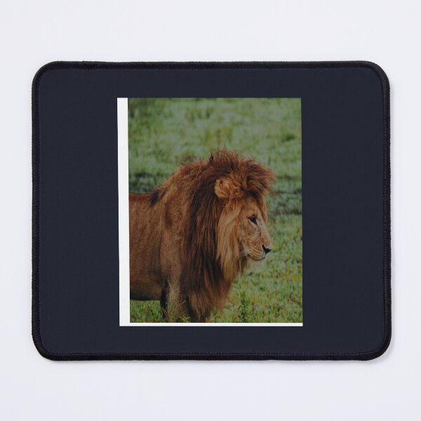 Item preview, Lion guards the guard designed and sold by TrongVinhBMW.