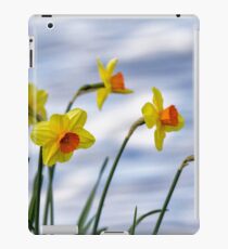 Daffodils iPad Case/Skin