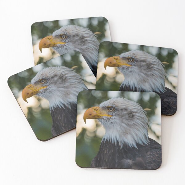 Item preview, eagle collection designed and sold by Noutco.