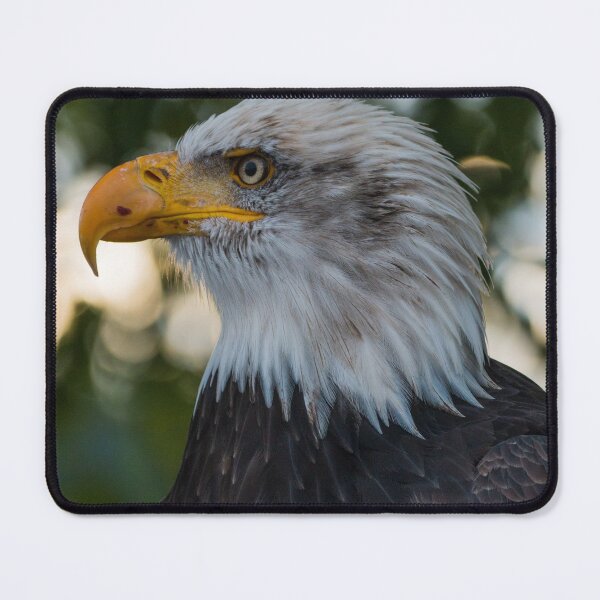 Item preview, eagle collection designed and sold by Noutco.
