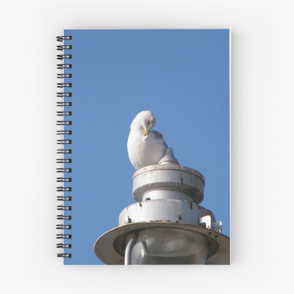 Item preview, Steven Seagull designed and sold by Things and stuff.