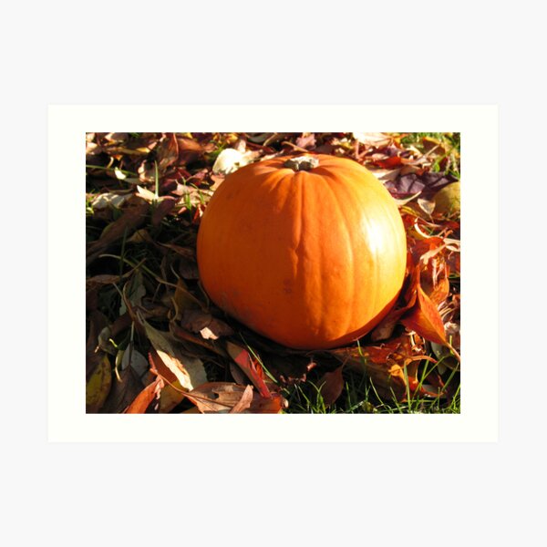 Pumpkin Art Print
