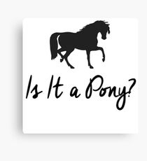 Is It A Pony? Canvas Print