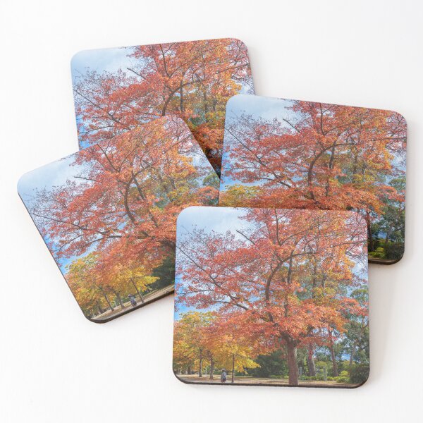 Item preview, Autumnal Colours designed and sold by johno60.