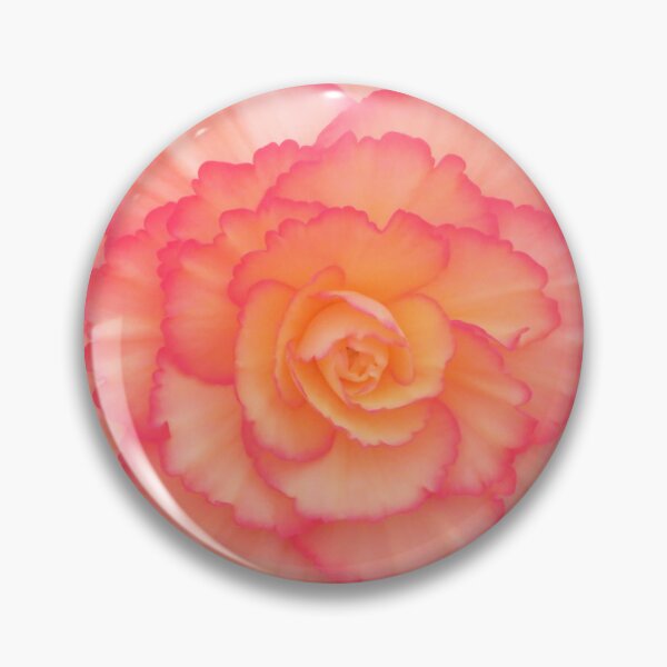 Item preview, Peachy-pink Begonia designed and sold by LadyKandis.