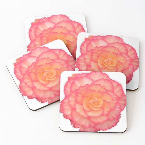 Item preview, Peachy-pink Begonia designed and sold by LadyKandis.
