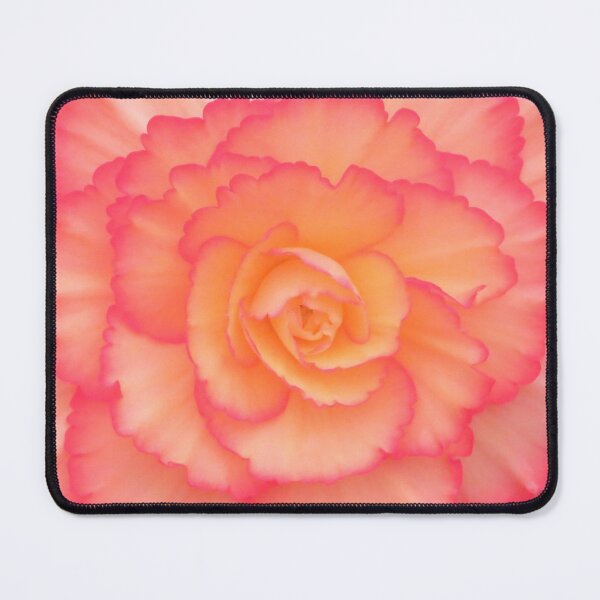Item preview, Peachy-pink Begonia designed and sold by LadyKandis.